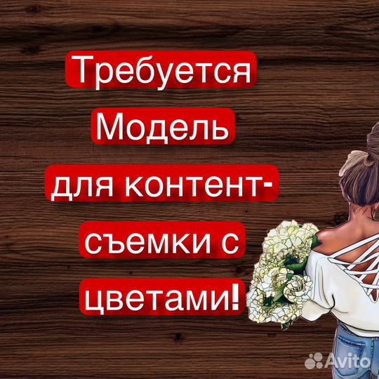 Модель для контента