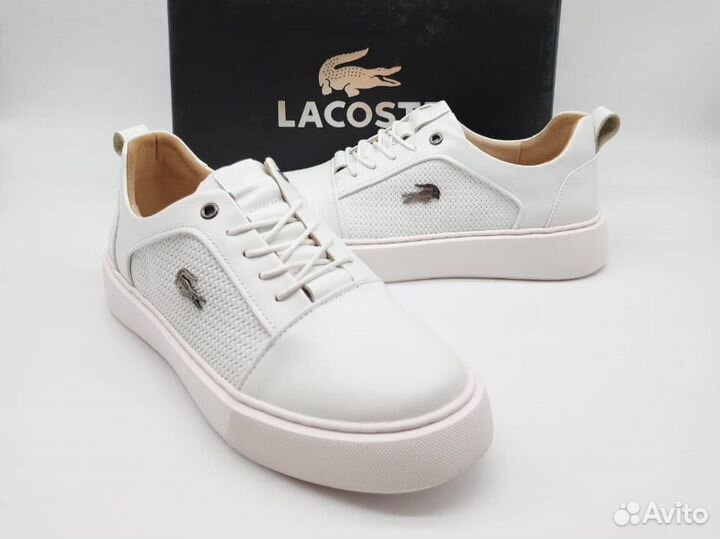 Кроссовки мужские Lacoste