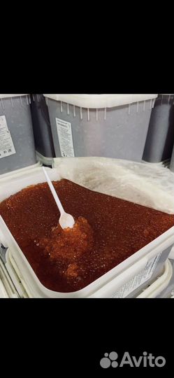 Икра горбуши