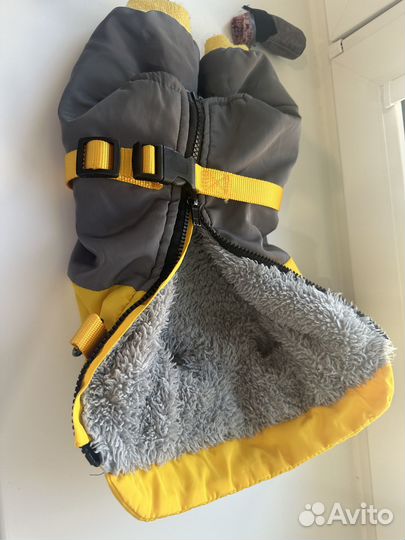 Одежда для собак мелких пород