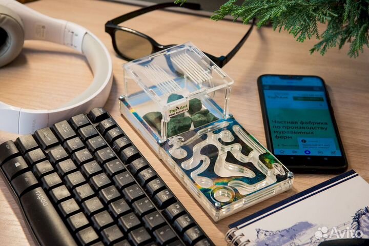 Муравьиная ферма