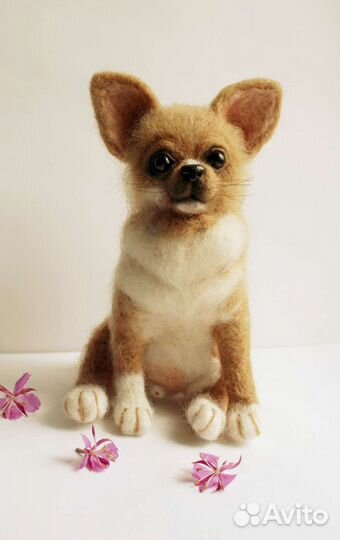 Чихуахуа ручная работа