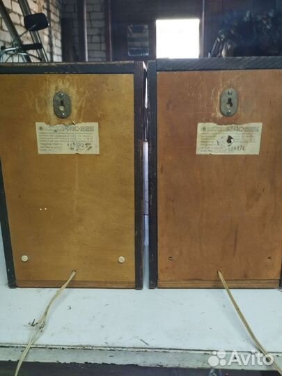 Акустическая система