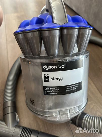 Пылесос dyson DC 37 allergy