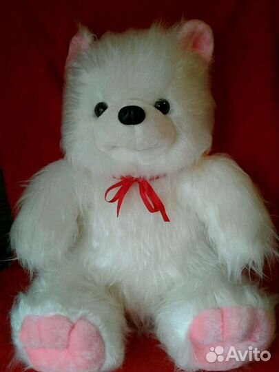 Новый большой медведь