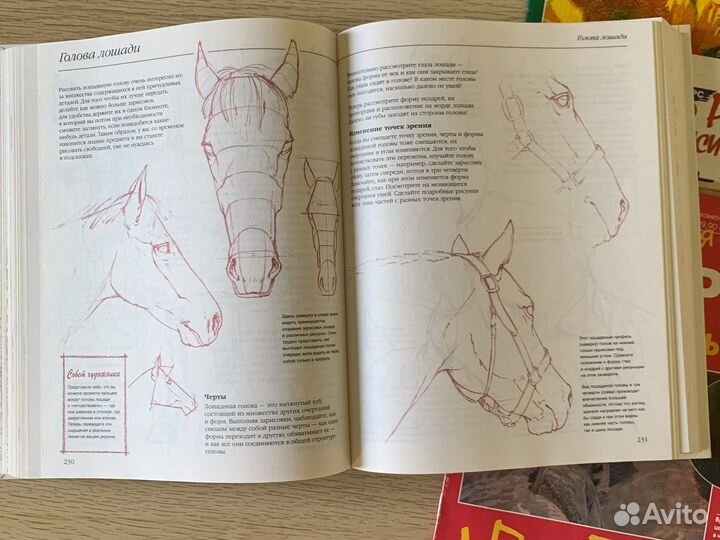 Книга учебник по исскуству живописи и рисованию