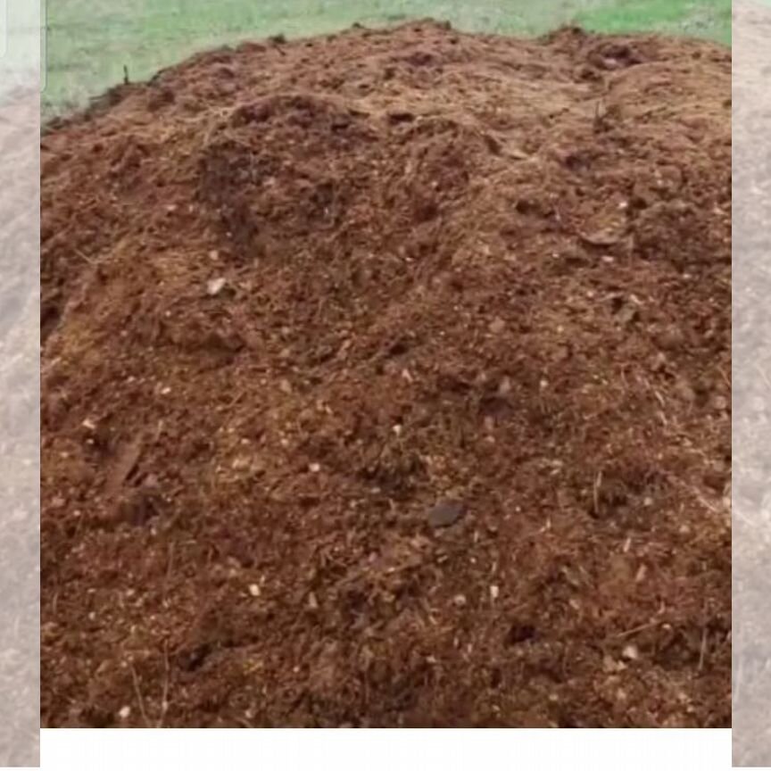 Ұлдары мен қыздары бар аналардың порносы