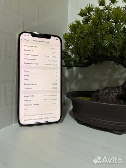iPhone 12 Pro Max, 256 ГБ