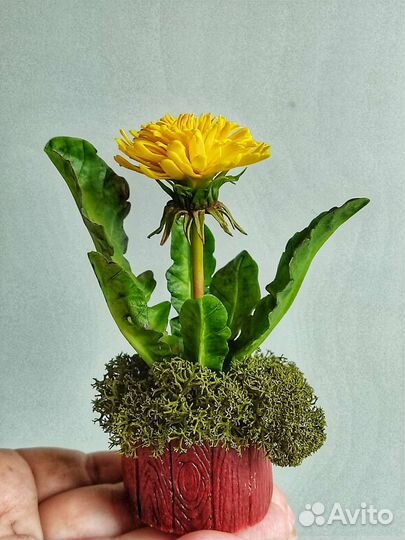 Миниатюрные одуванчики