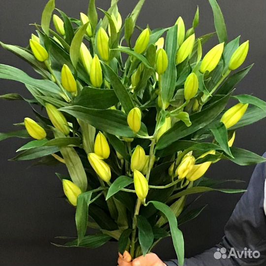 Букеты из лилий