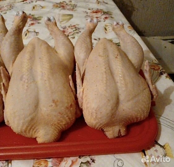 Домашнее мясо кур