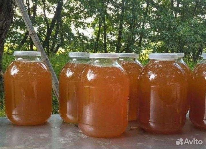 Мёд горный,натуральный,свежий