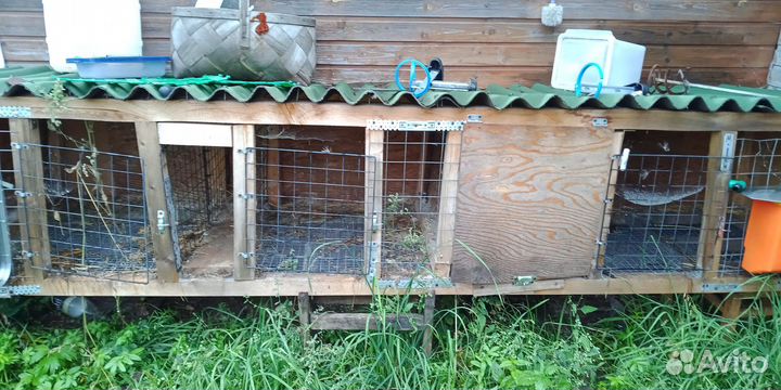 Клетка для кроликов