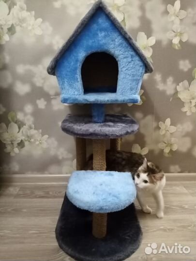 Разные домики с когтеточками