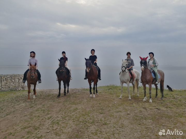 Прогулки верхом круглый год