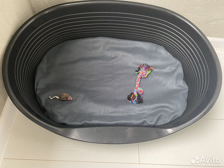 Лежанка для собак, корм, ошейник