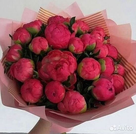 Пионы Букеты Цветы Доставка