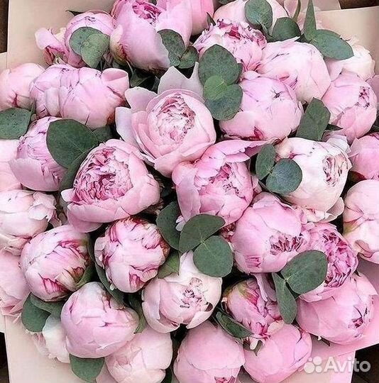 Пионы Букет