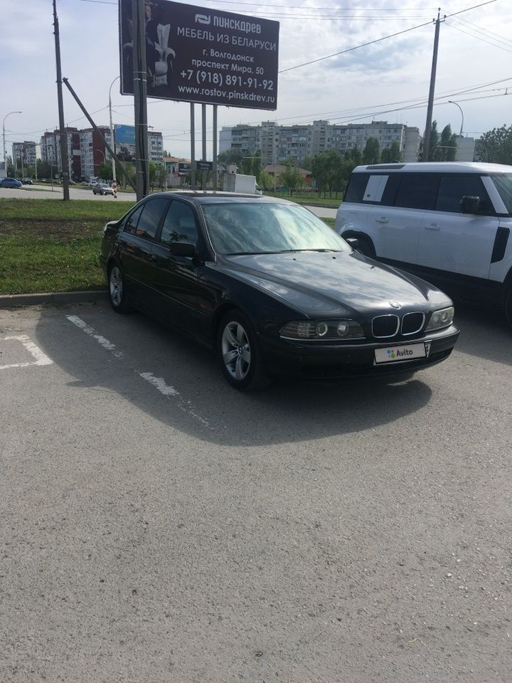 BMW 5 серия: фото владельца