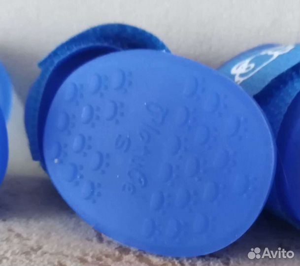 Обувь для собак