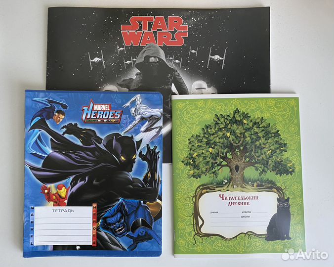 Читательский дневник, тетради