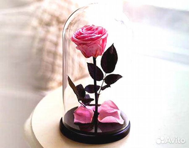 Роза в колбе. Любые размеры