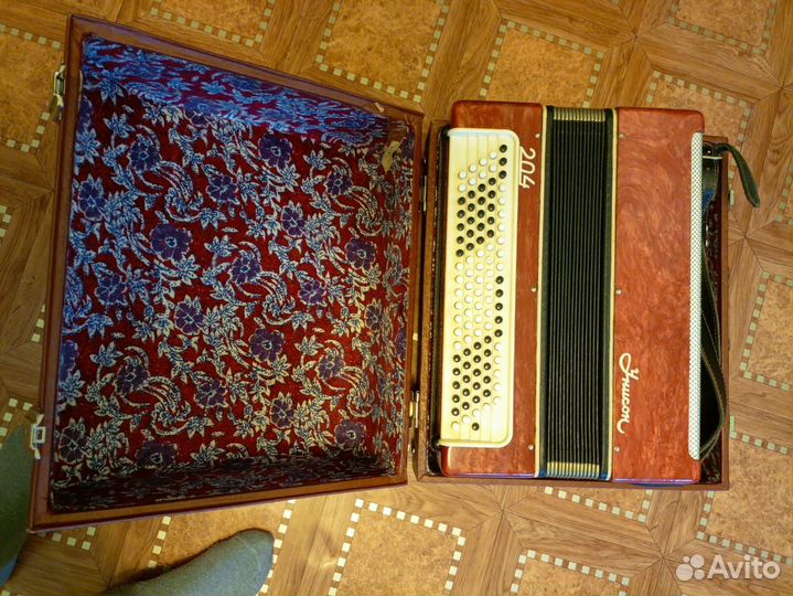 Баян юность 204