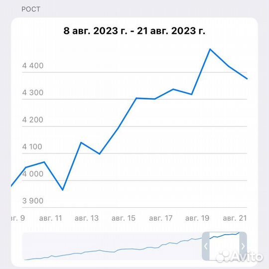 Продвижение телеграм