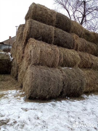 Продам сено в рулонах