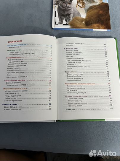 Детская энциклопедия росмэн Птицы, Кошки