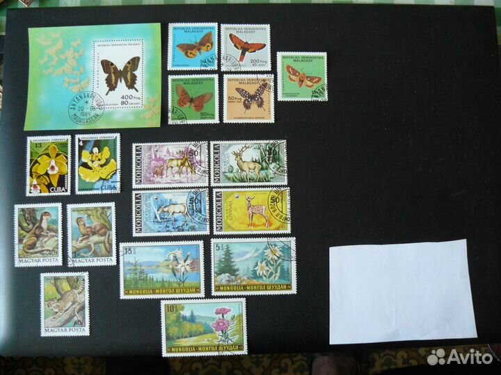 Марки и блоки