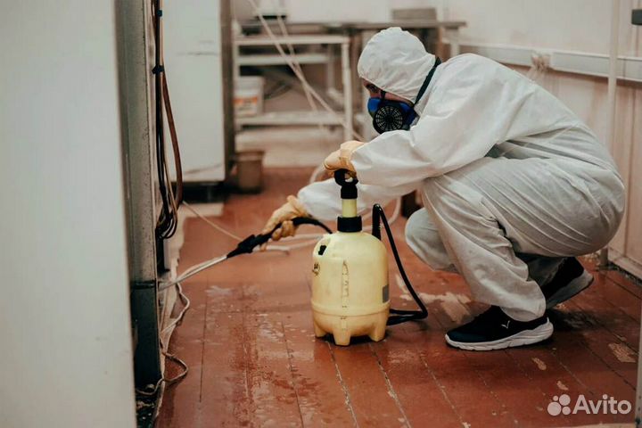 Уничтожение клопов тараканов клещей Йошкар-Ола