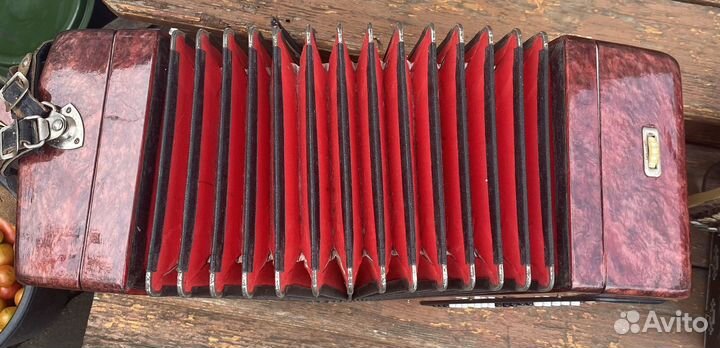 Баян Тула 202