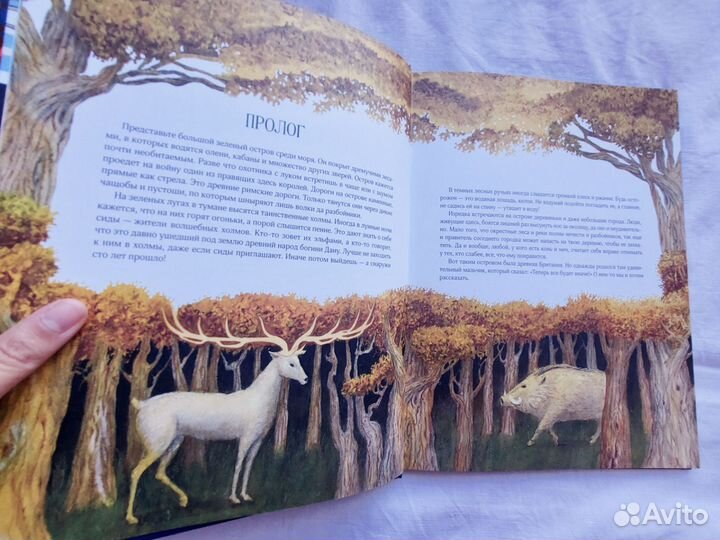 Детские книги Робин Гуд, Король Артур, Беовульф