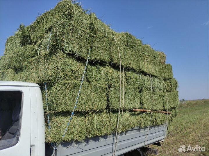 Продажа сена в тюках
