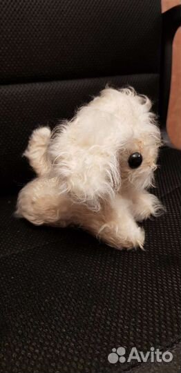 Собака СССР плюшевая 50-60 года