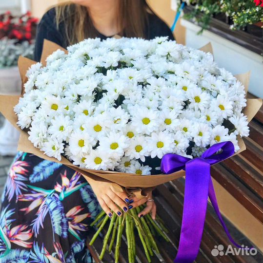 Хризантема Букеты Свежие Цветы Доставка Пермь
