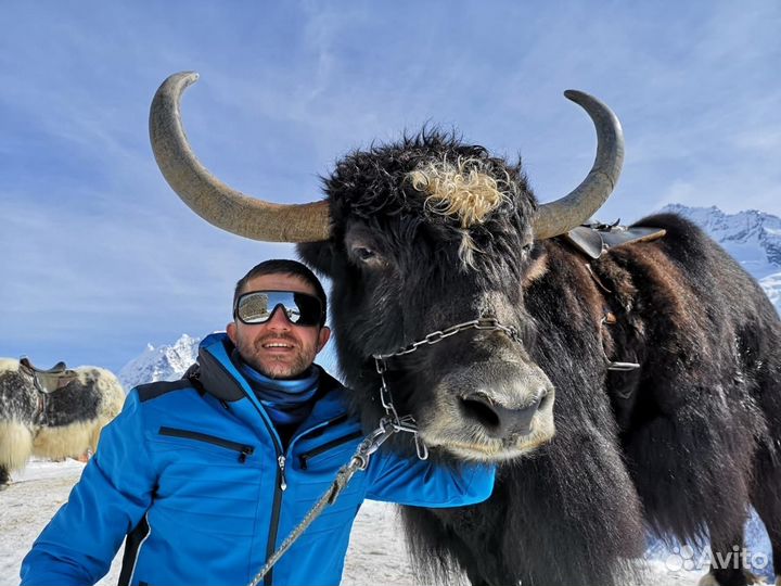 Горнолыжный тур Домбай-Архыз 2-10 марта 2024