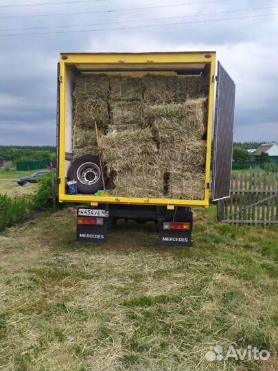 Перевозка с/х животных, коров, крс, домашних живот