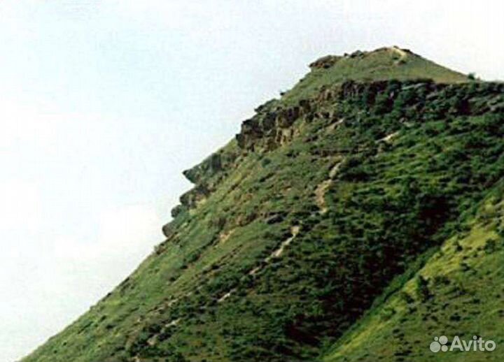 Тур по Дагестану