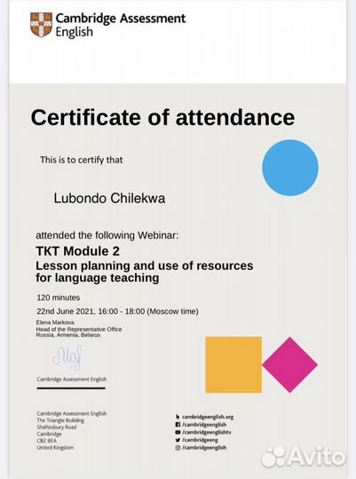 Репетитор (Носитель) по английскому языку