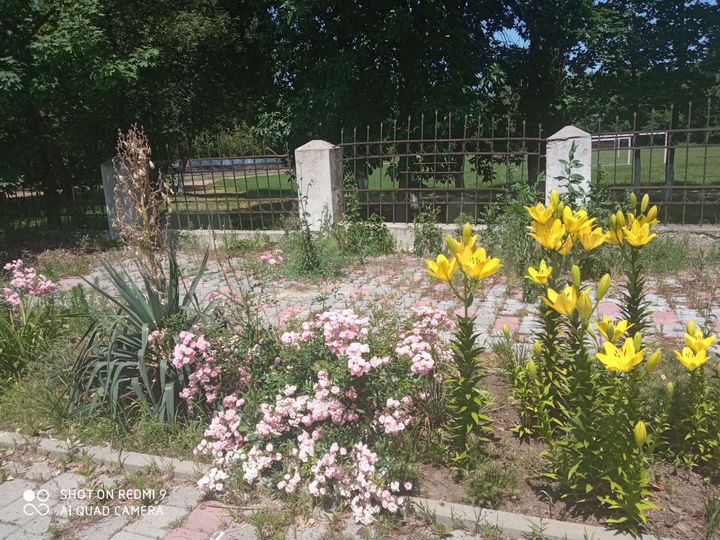 Дача 12 м² на участке 2 сот.