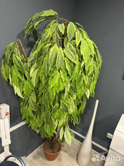 Искусственное дерево пальма