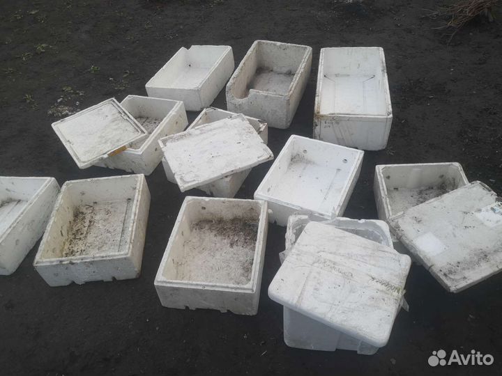 Ящик пенопластовый б/у