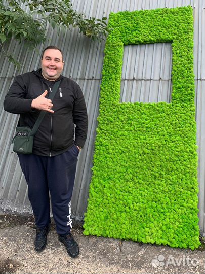 Мох Стабилизированный ягель, кочка, пласт, панно