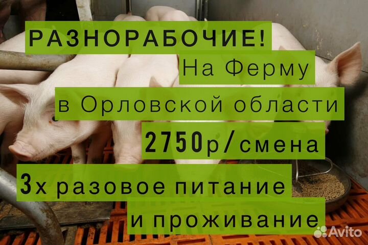 Вахта Разнорабочий 2750 смена в Орловской области