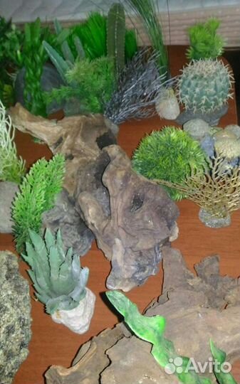 Для аквариума