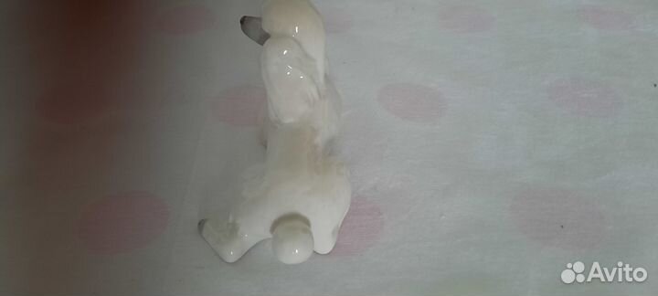 Белый пудель лфз