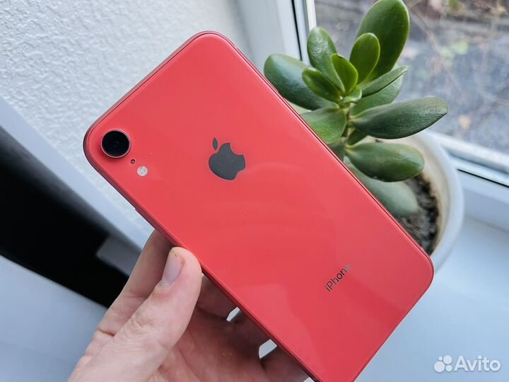 iPhone Xr, 256 ГБ