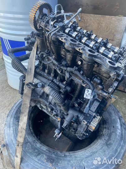 Двигатель D4164T